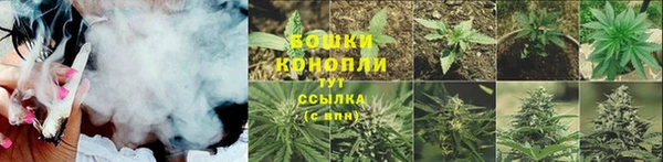 spice Богородицк