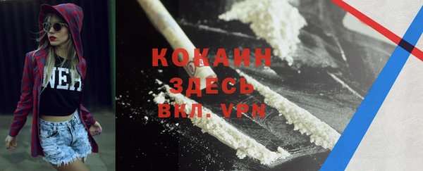 spice Аркадак