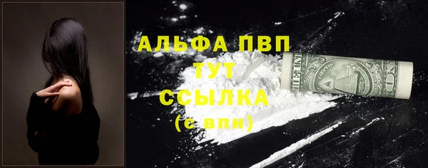 spice Богородицк